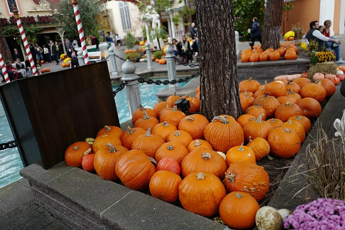 Citrouilles empilées dans les allées d'Europa-Park pendant la saison d'Halloween