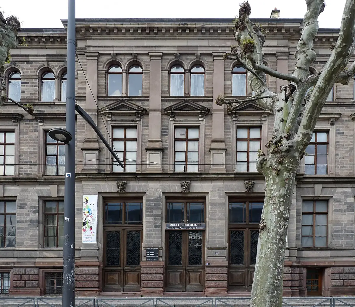 Façade du Musée zoologique de Strasbourg, boulevard de la Victoire