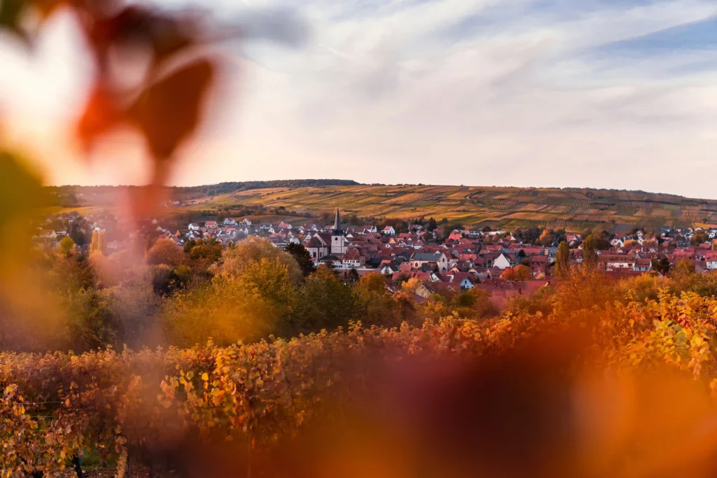 alsace en 4 jours pour le tourisme