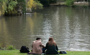 Que faire le dimanche à Strasbourg : Le guide complet 2025 que faire le dimanche à Strasbourg